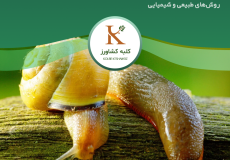 راب گلخانه‌ای در کشاورزی