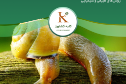 راب گلخانه‌ای در کشاورزی