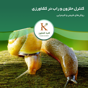 راب گلخانه‌ای در کشاورزی
