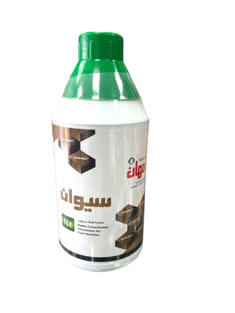 جلبک دریایی مهان(سیوان)
