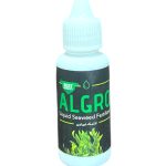 جلبک دریایی الگرو اسپانیا