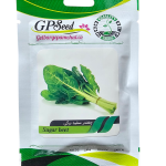 بذر چغندر سفید برگی پامچال