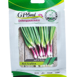 بذر پیازچه ته قرمز پامچال