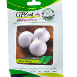 بذر پیاز سفید پامچال