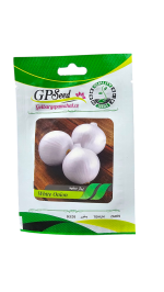 بذر پیاز سفید پامچال