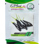 بادمجان قلمی پامچال