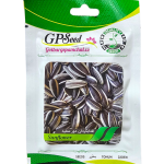 آفتابگردن دور سفید پامچال