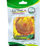 آفتابگردان مشکی شمشیری پامچال