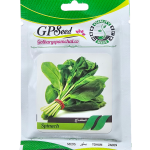 بذر اسفناج پامچال