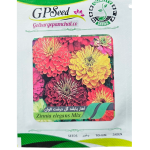 بذر آهار پابلند گل درشت الوان پامچال