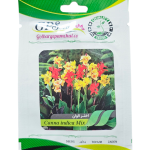 بذر گل اختر الوان پامچال