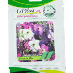 بذر گل اطلسی ایرانی معطر الوان پامچال