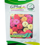 بذر گل آهار پا متوسط گل درشت الوان پامچال