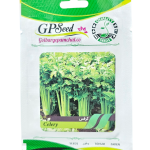 بذر کرفس پامچال