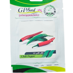 بذر فلفل قلمی تند پامچال