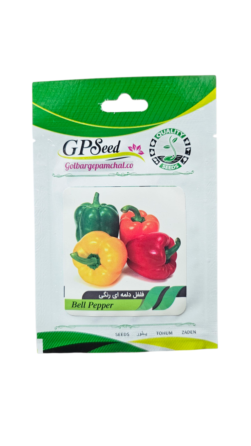بذر فلفل دلمه ای رنگی پامچال - Image 2