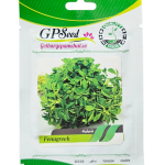 بذر شنبلیله پامچال