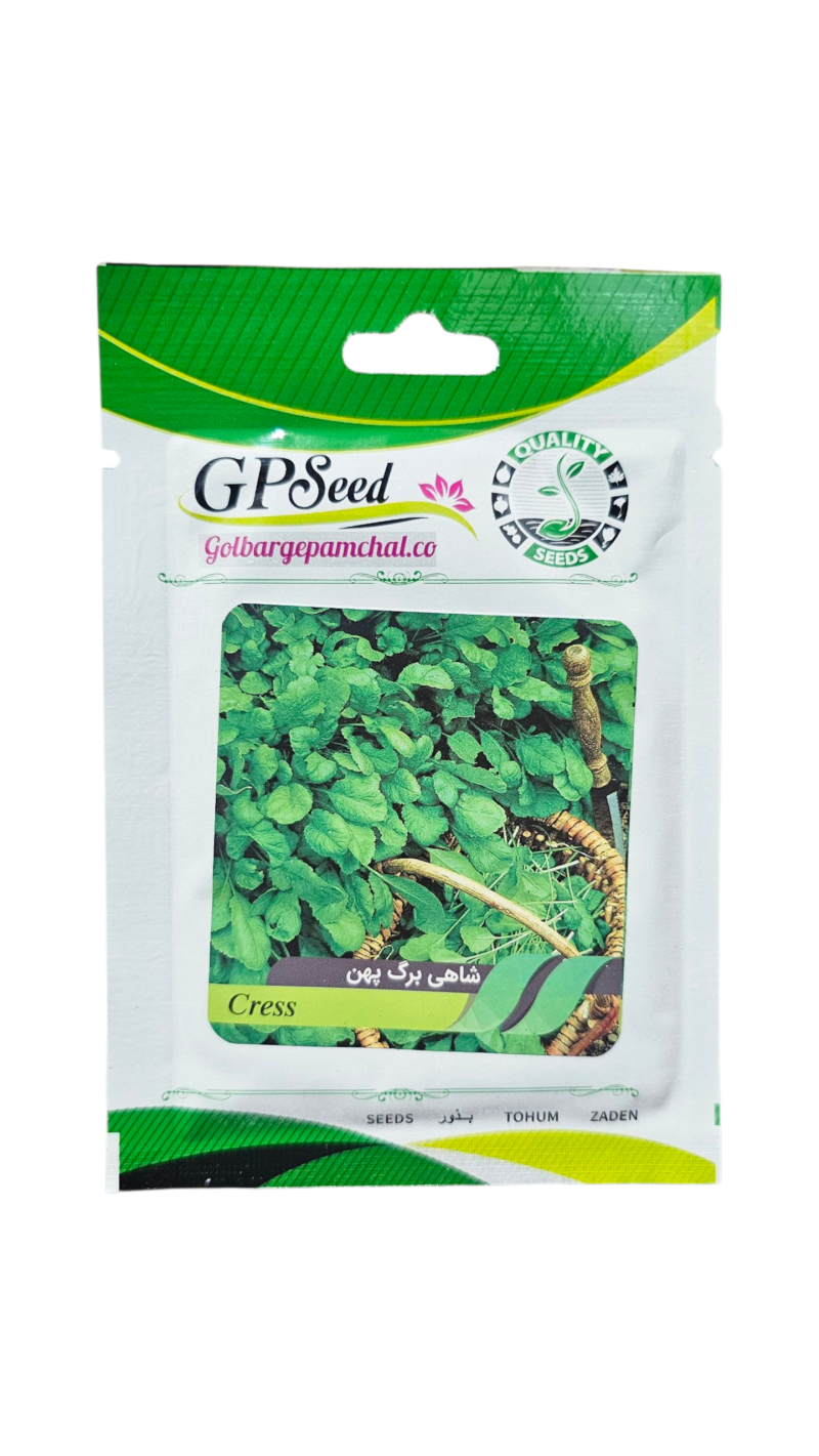 20251011_131112 بذر شاهی برگ پهن پامچال - Image 1