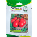 بذر گوجه گلابی قرمز پامچال