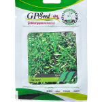 بذر مرزه پامچال