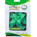 بذر نعناع پامچال