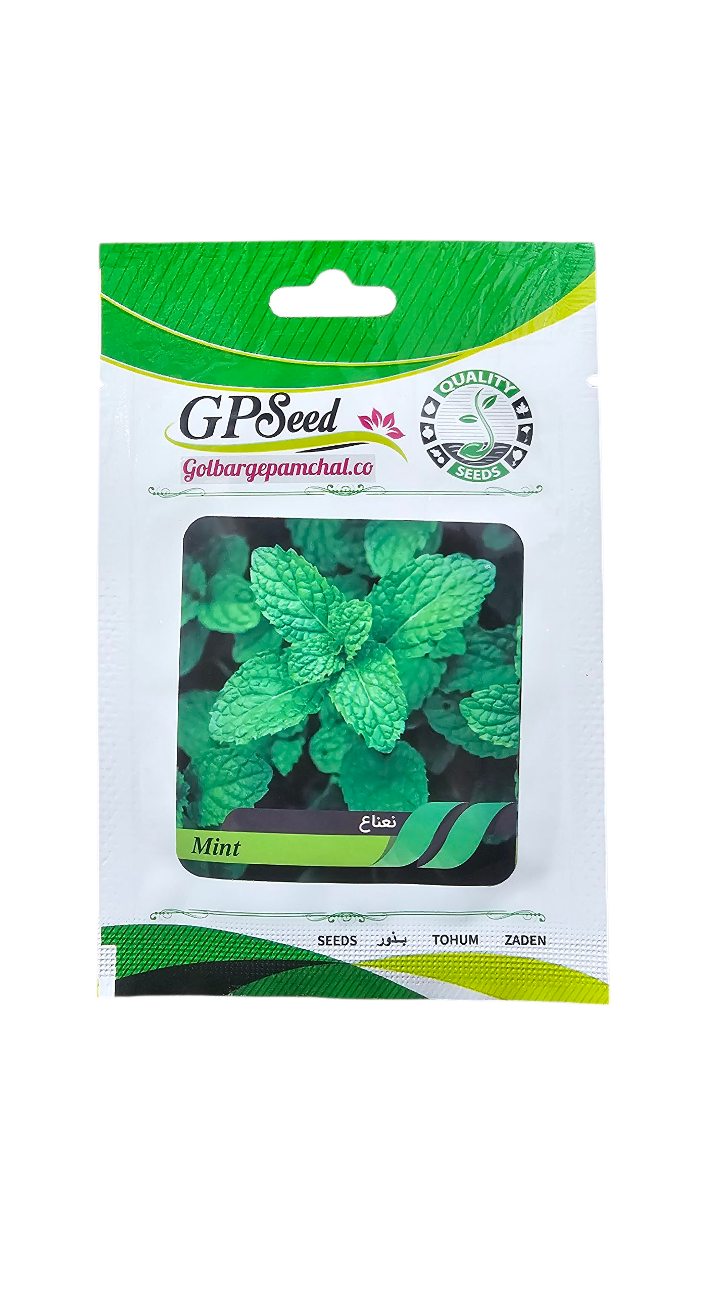 20251015_180057 بذر نعناع پامچال - Image 1