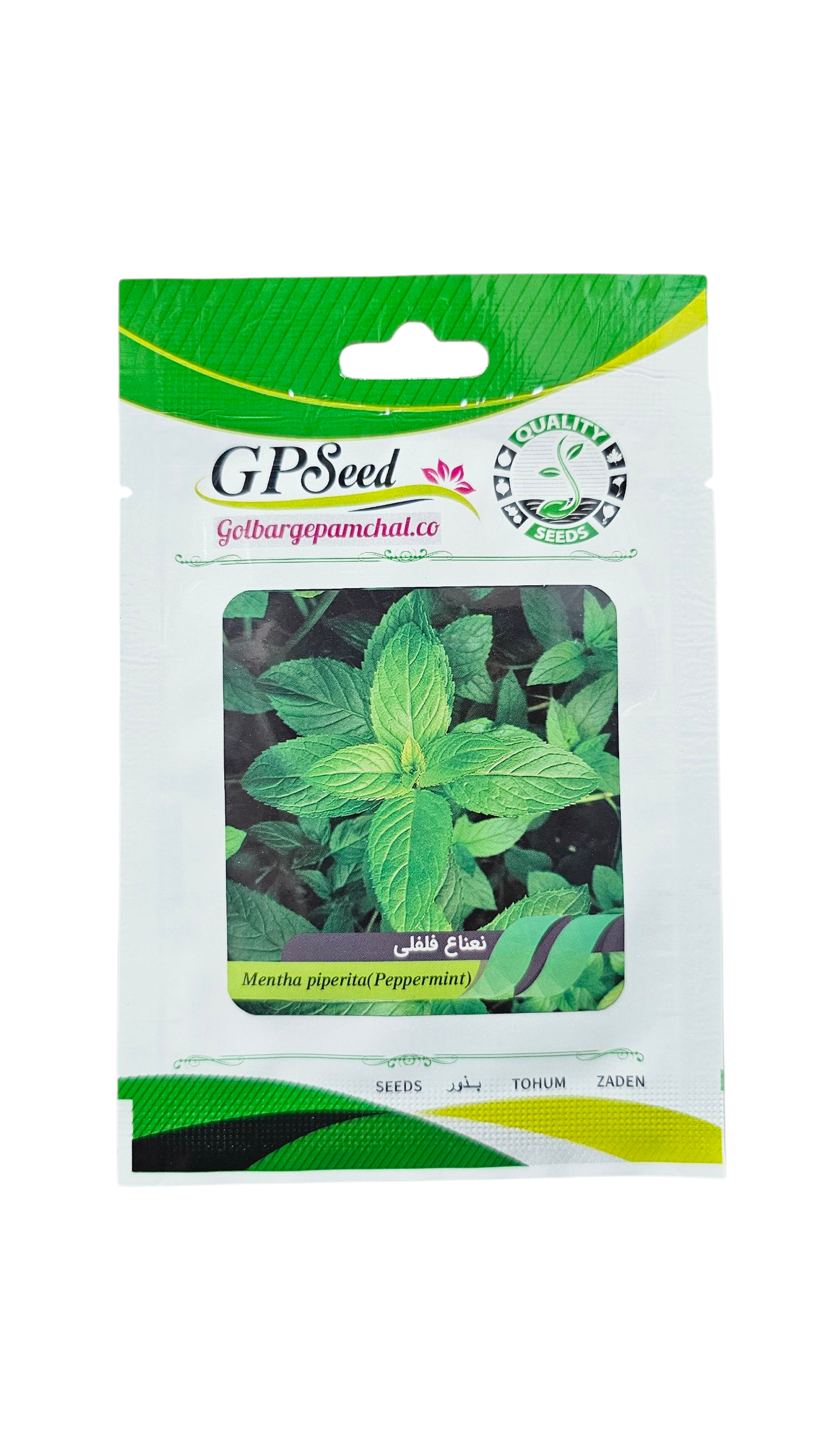 20251015_180119 بذر نعنا فلفلی پامچال - Image 1