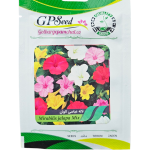 بذر گل لاله عباسی الوان پامچال