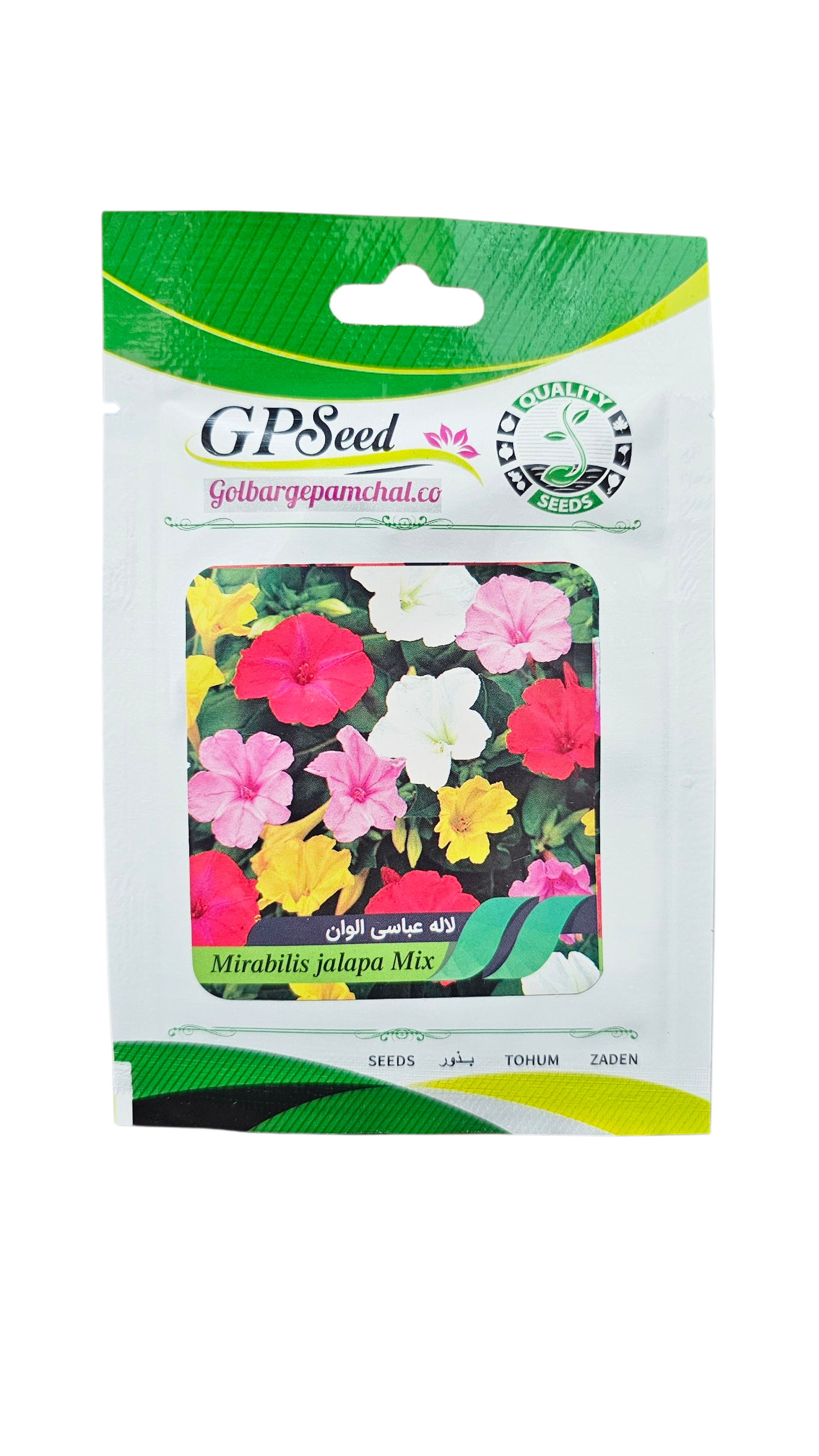 20251015_180254 بذر گل لاله عباسی الوان پامچال - Image 1