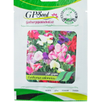 بذر گل نخودی الوان پامچال