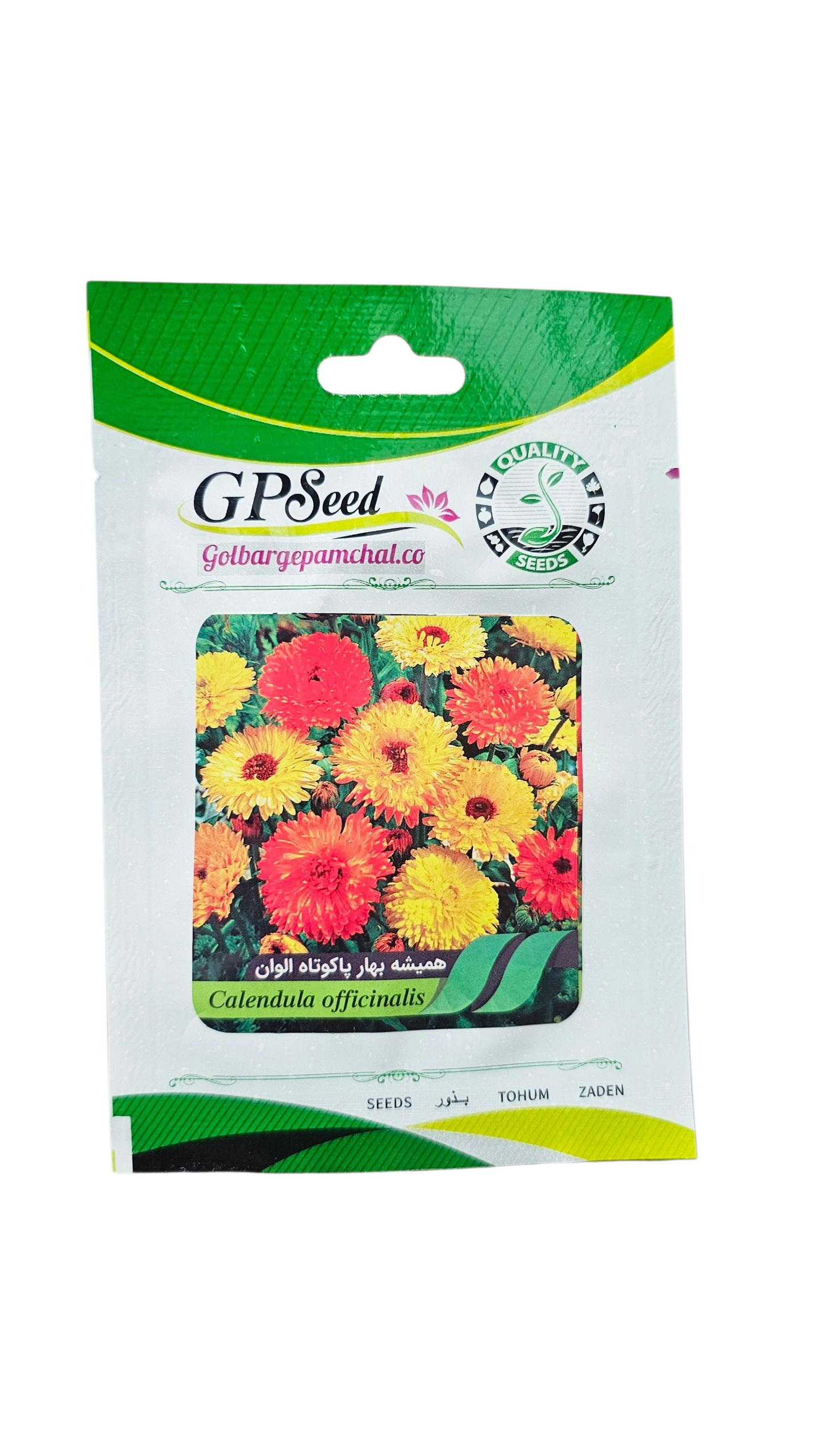 20251015_180410 بذر گل همیشه بهار پاکوتاه الوان پامچال - Image 1