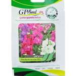 بذر گل شب بو الوان پامچال