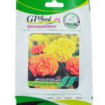 بذر گل جعفری پاکوتاه گل درشت الوان پامچال