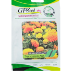 بذر گل جعفری پابلند گل درشت الوان پامچال