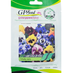 بذر گل بنفشه گل درشت پرکلاغی پامچال