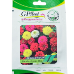 بذر گل آهار پاکوتاه گل درشت الوان پامچال