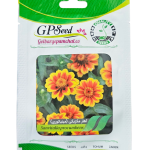 بذر گل آهار مکزیکی مینیاتوری پامچال