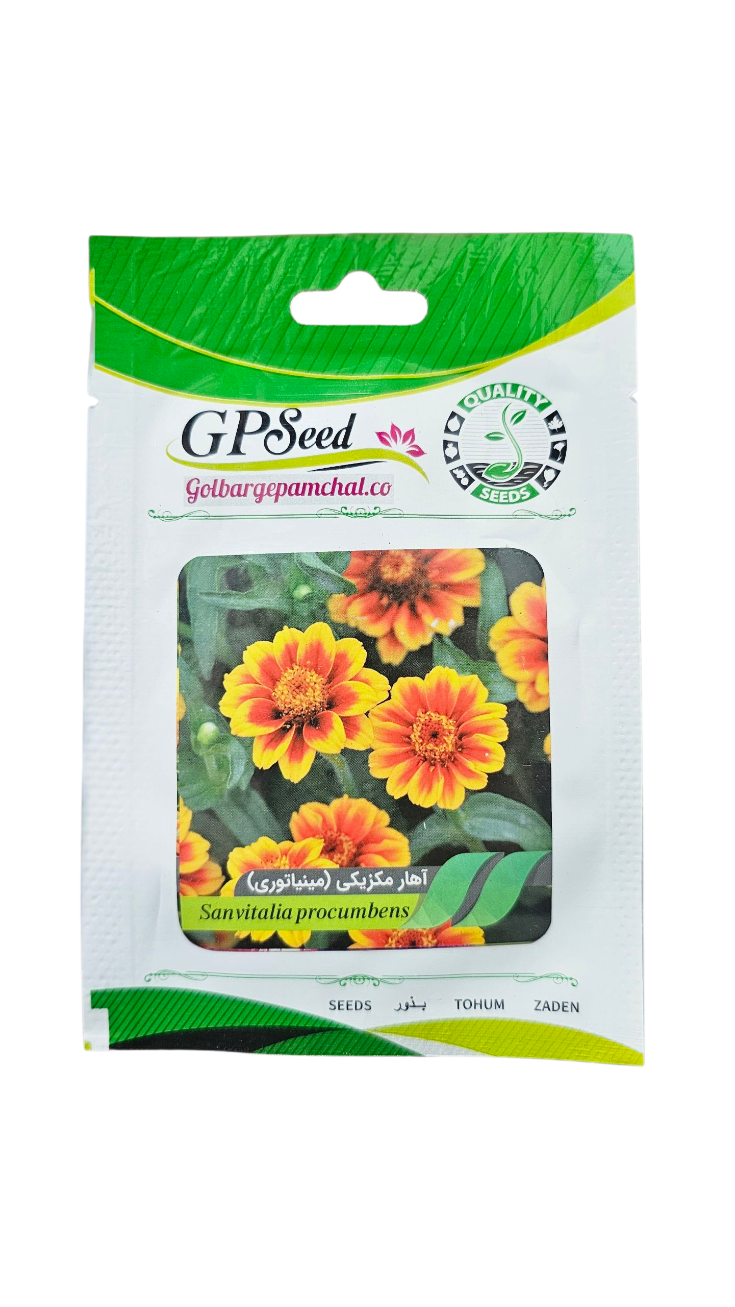 20251015_180813 بذر گل آهار مکزیکی مینیاتوری پامچال - Image 1