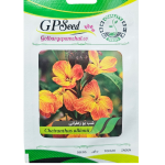 بذر شب بو زعفرانی