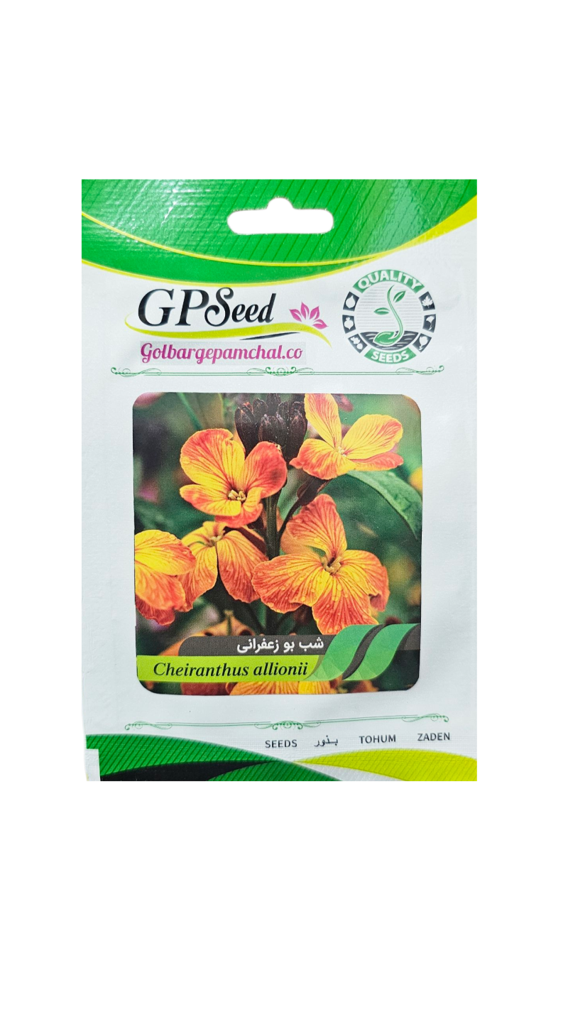 بذر شب بو زعفرانی - Image 1