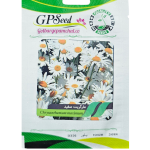 بذر مارگریت سفید پامچال