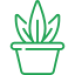 plant-pot